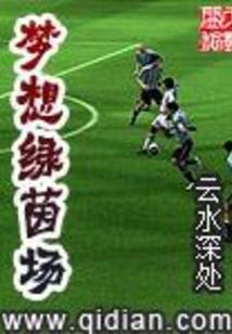 灵魄大陆之纵横风云