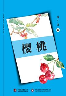 灰烬的救赎之旅