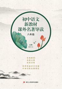 凤凰宝贝