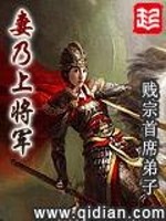 斗灵大陆之风神纪