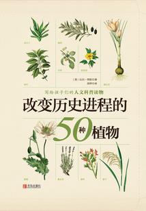 反派的白月光强又惨