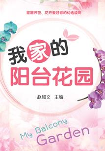 雾中诡镜