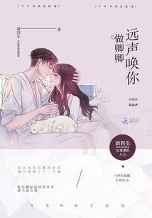 刘三石梦幻奇遇记