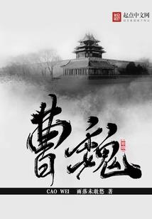 南戚北魏