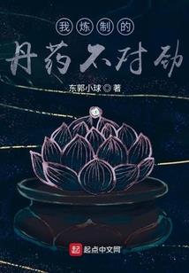 总裁的契约太太