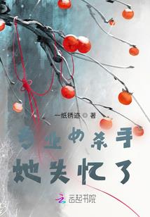 闪耀星芒的安魂曲