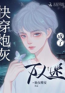 十七使徒