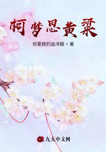 女强人遇上男精英