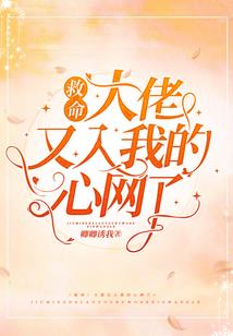 二次元之四大主宰