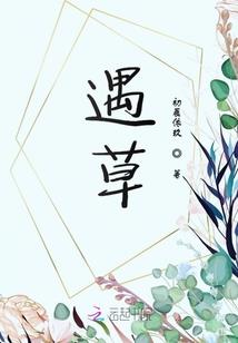 窗外的凤凰树