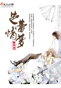 流星划过的夜