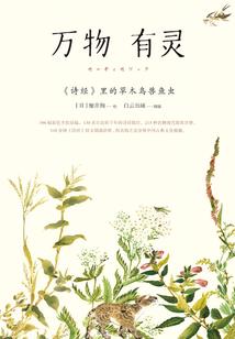 枪战仙地