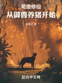 风凌决之启明