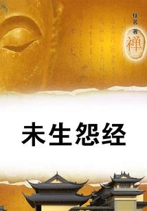 折灵的魔法师少女