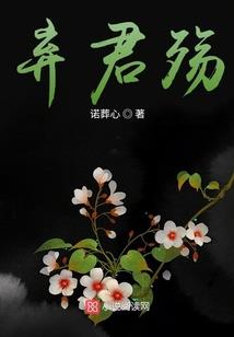 梦姐人美路子野