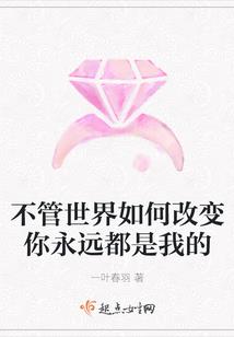 重生之凤凰之泪