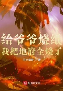 999轮回丸