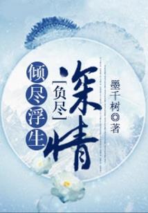 光影前传君归