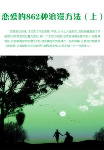 岚的命运石之门