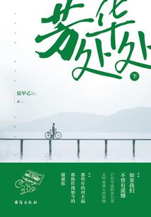 明星大老板