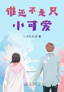 至高裁决系统