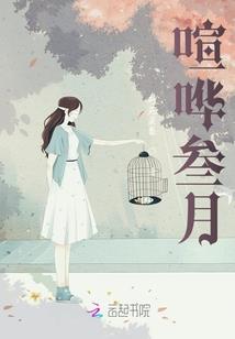 爱财王妃之宠妃倾城
