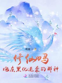神奇宝贝之守护希望梦想