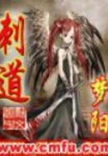 灵剑阵师