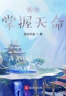 流光之翼