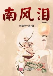 皖城才子