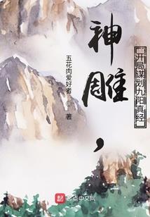 这个导演不当人