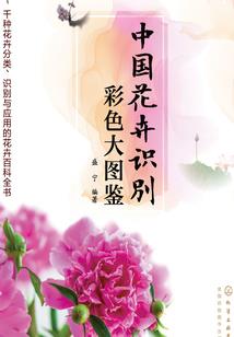 与你曾经的时光