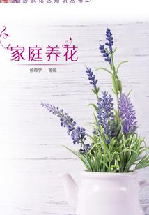 姜家双姐妹