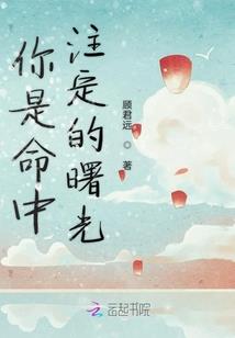 影祭哀歌之杀手泪