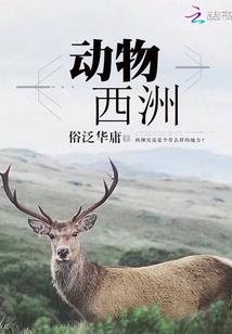 塞斯杰罗奥特曼