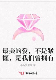 海贼王之全职医生