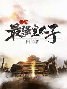 圣铠日记