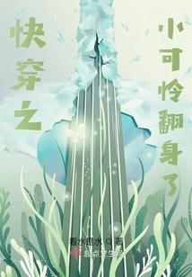 都市风云之易枫传