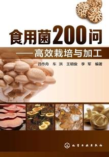 那一年不再相见
