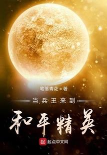 绝品武魂