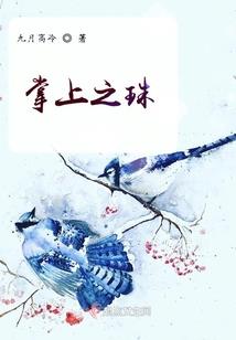 我命撕天