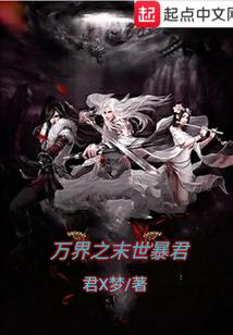 巅峰法师之路