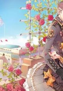 金属变形体