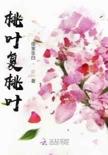 天龙战定