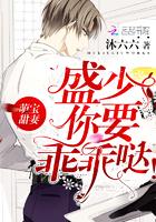 凌云诛魔记