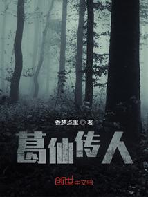 圣元大陆之一统江山