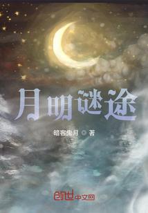 赵龙记之赵龙公主