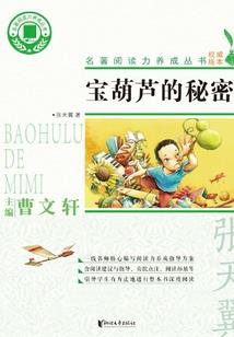 复古传奇之奇幻之旅