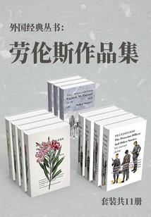 银发姬的奇妙旅程