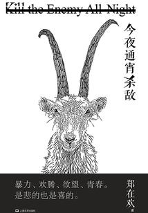 残王宠妃之桑榆若晚